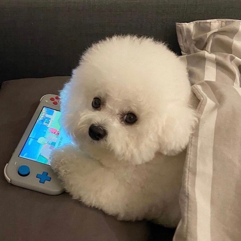 杀手的购物中心教程